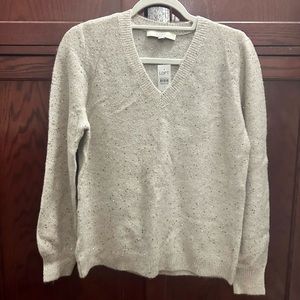 LOFT v-neck sweater with sparkles
